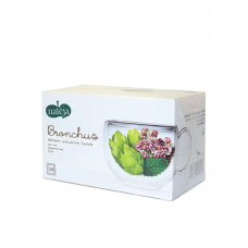 NATEJA BRONCHUS BĒRNIEM paciņas 1.5g N20